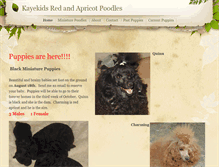 Tablet Screenshot of kayekids.com